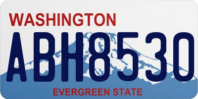WA license plate ABH8530