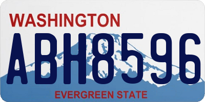 WA license plate ABH8596