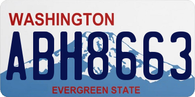 WA license plate ABH8663