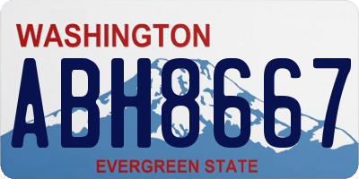 WA license plate ABH8667