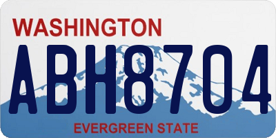 WA license plate ABH8704