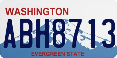 WA license plate ABH8713