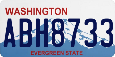 WA license plate ABH8733