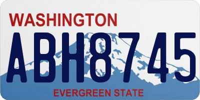 WA license plate ABH8745
