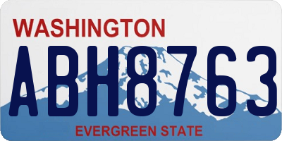 WA license plate ABH8763
