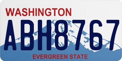 WA license plate ABH8767