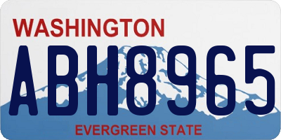 WA license plate ABH8965