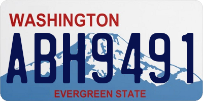 WA license plate ABH9491