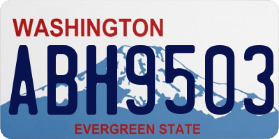 WA license plate ABH9503
