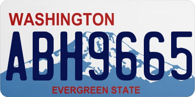 WA license plate ABH9665