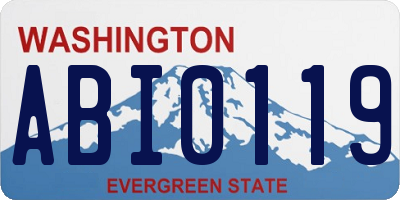 WA license plate ABI0119