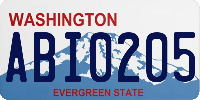 WA license plate ABI0205