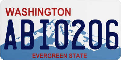 WA license plate ABI0206
