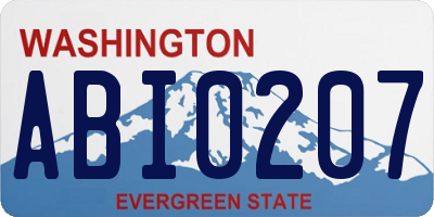 WA license plate ABI0207