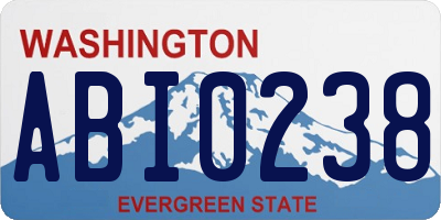 WA license plate ABI0238