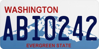 WA license plate ABI0242
