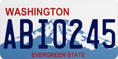 WA license plate ABI0245