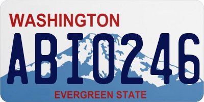 WA license plate ABI0246