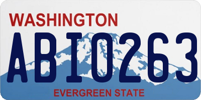 WA license plate ABI0263
