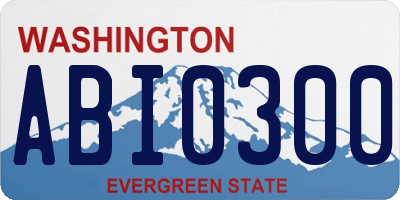 WA license plate ABI0300