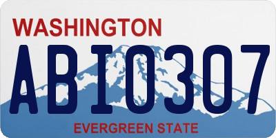 WA license plate ABI0307