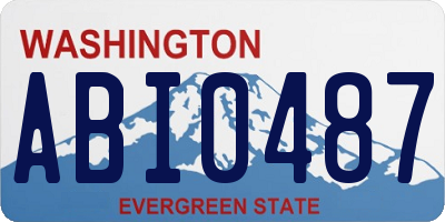 WA license plate ABI0487