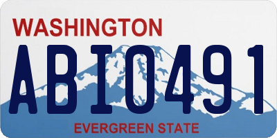 WA license plate ABI0491