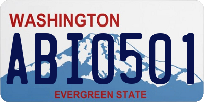 WA license plate ABI0501