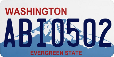 WA license plate ABI0502