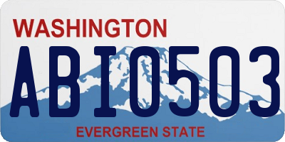 WA license plate ABI0503