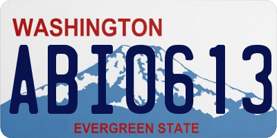 WA license plate ABI0613