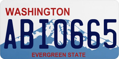 WA license plate ABI0665