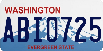 WA license plate ABI0725