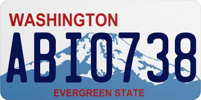 WA license plate ABI0738