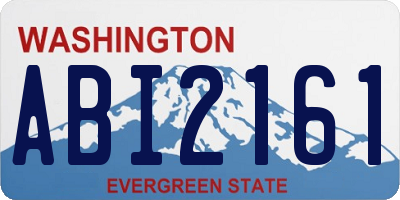 WA license plate ABI2161