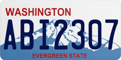 WA license plate ABI2307