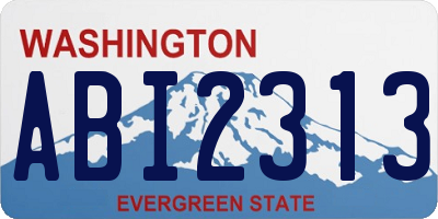 WA license plate ABI2313