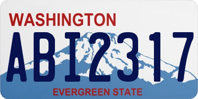 WA license plate ABI2317