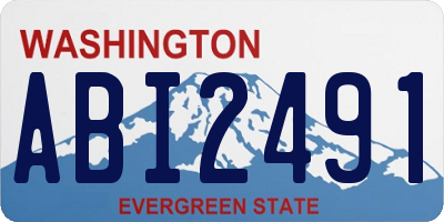 WA license plate ABI2491