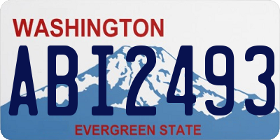 WA license plate ABI2493