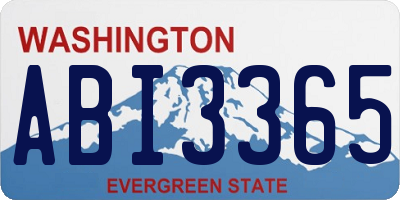 WA license plate ABI3365