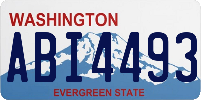 WA license plate ABI4493