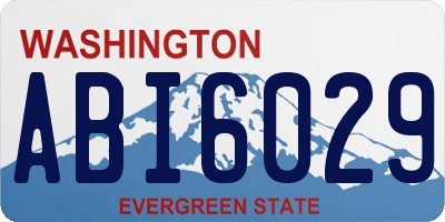 WA license plate ABI6029