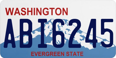 WA license plate ABI6245