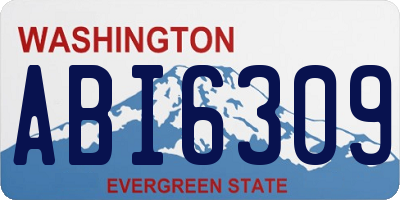 WA license plate ABI6309
