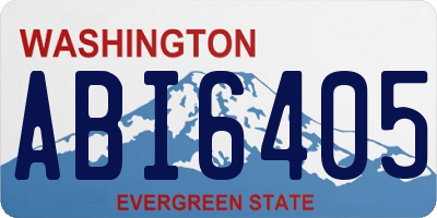 WA license plate ABI6405