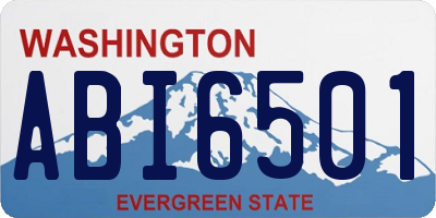 WA license plate ABI6501