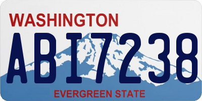 WA license plate ABI7238