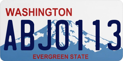 WA license plate ABJ0113