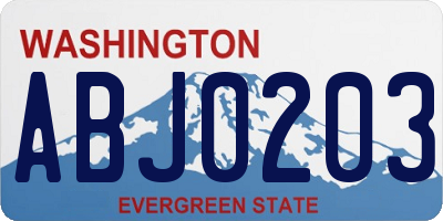WA license plate ABJ0203